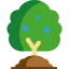 Blueberry 图标 64x64