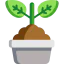 Sprout 图标 64x64