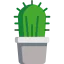 Cactus 图标 64x64