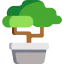 Bonsai 图标 64x64