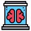 Brain icon 64x64
