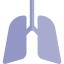 Lung icon 64x64