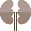Kidney іконка 64x64