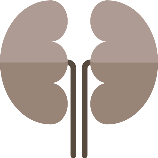 Kidney іконка