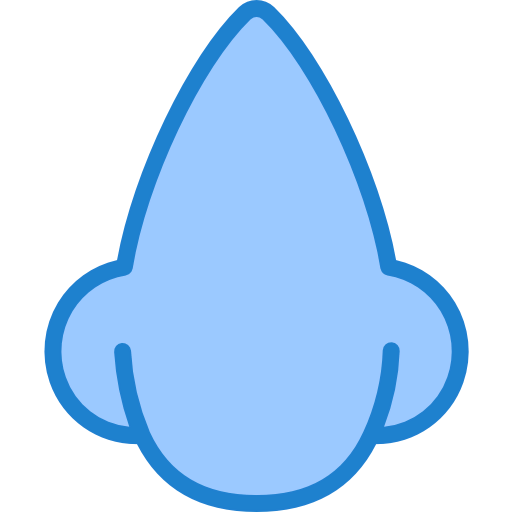 Nose 图标