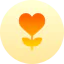 Flower biểu tượng 64x64