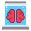 Brain Symbol 64x64