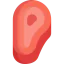 Meat icon 64x64