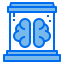 Brain icon 64x64