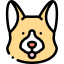 Dog icon 64x64