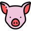Pig icon 64x64
