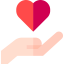 Heart icône 64x64