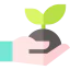 Sprout ícone 64x64