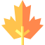 Leaf icon 64x64