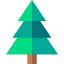 Fir icon 64x64