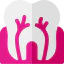 Root canal icon 64x64