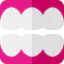Denture icon 64x64