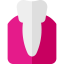 Premolar icon 64x64