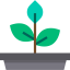 Plant icon 64x64