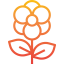 Flower 图标 64x64