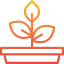 Plant 图标 64x64