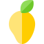 Mango ícono 64x64