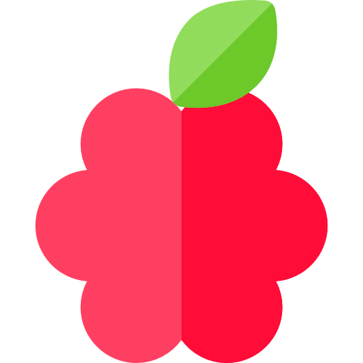 Raspberry ícono