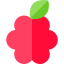 Raspberry ícono 64x64