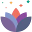 Lotus 图标 64x64