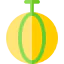 Melon ícono 64x64