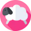 Sheep icon 64x64