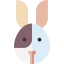 Bunny アイコン 64x64