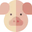 Pig アイコン 64x64
