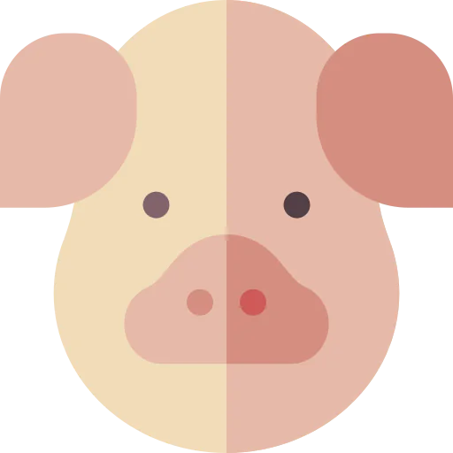 Pig icon