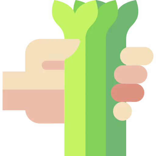 Vegetables icon