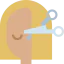 Hair icon 64x64