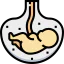 Fetus icon 64x64