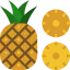 Pineapple Symbol 64x64