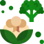 Cauliflower Symbol 64x64