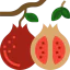 Pomegranate Symbol 64x64