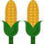Corn Symbol 64x64