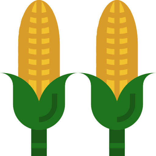 Corn icon