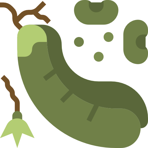 Beans icon