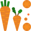Carrot Symbol 64x64
