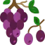 Grapes Symbol 64x64