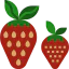 Strawberry Symbol 64x64