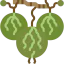 Gooseberry Symbol 64x64
