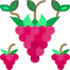 Raspberry Symbol 64x64