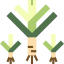 Leek Symbol 64x64