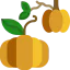 Pumpkin Symbol 64x64
